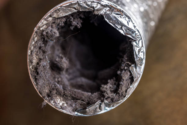 Best Commercial HVAC Duct Cleaning  in Siloam Springs, AR