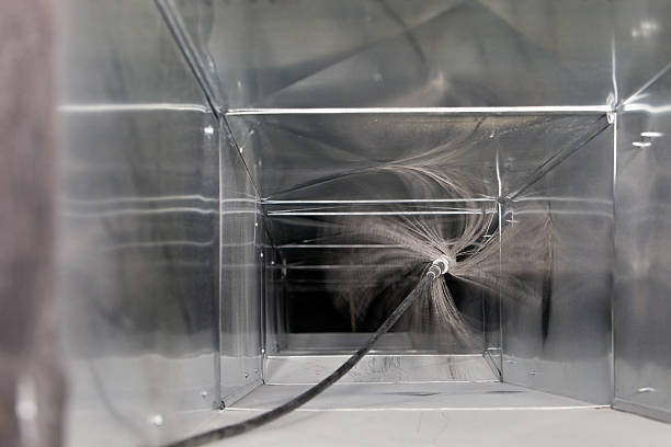 Best Air Duct Mold Removal  in Siloam Springs, AR