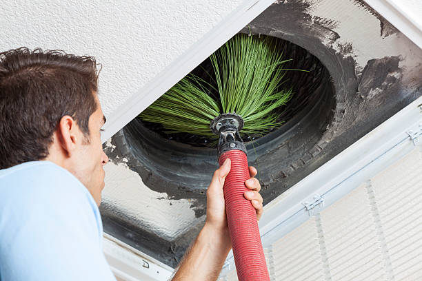 Best Air Vent Cleaning Services  in Siloam Springs, AR